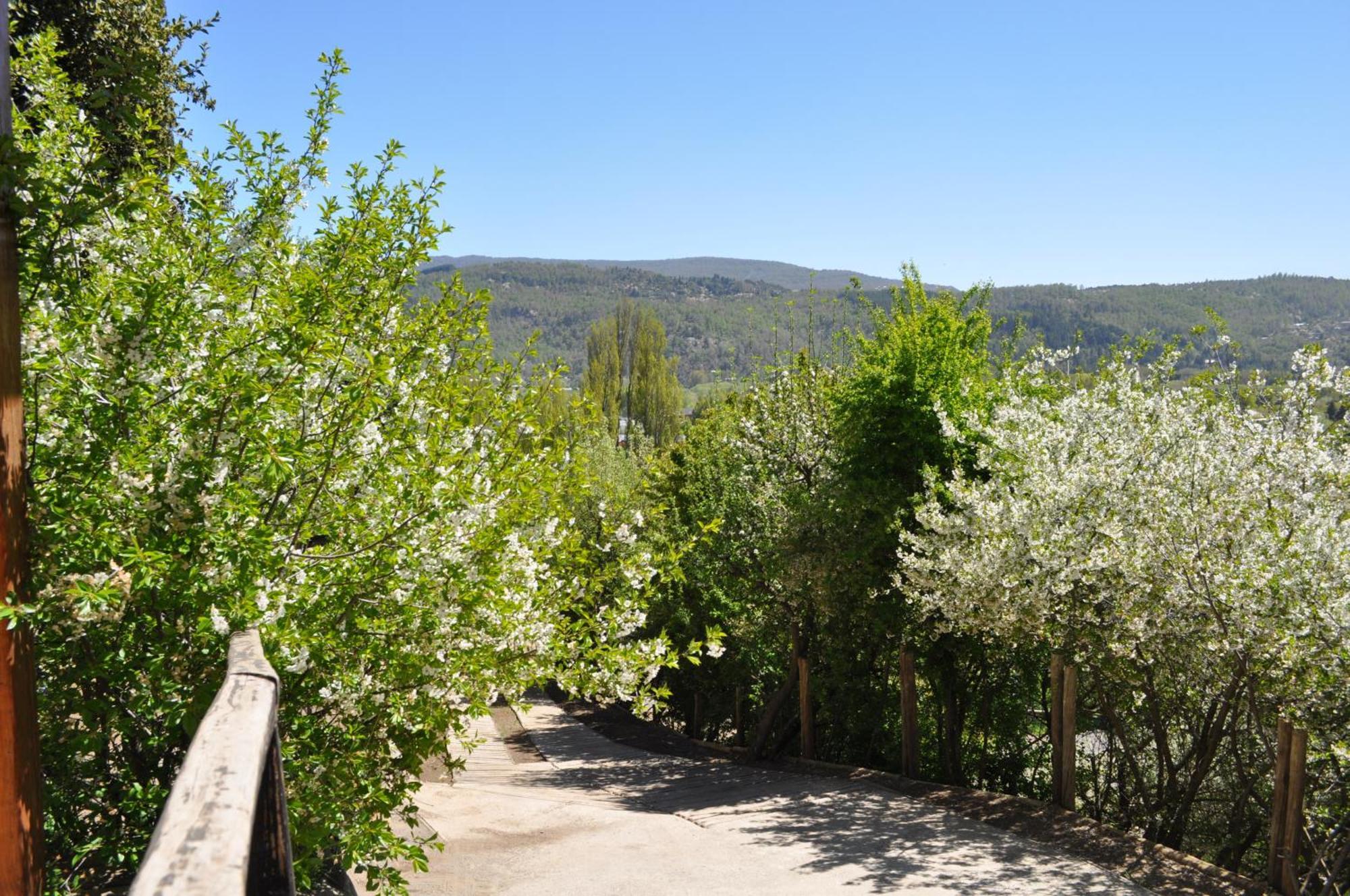 Melodia Natural En San Martín de los Andes Екстериор снимка