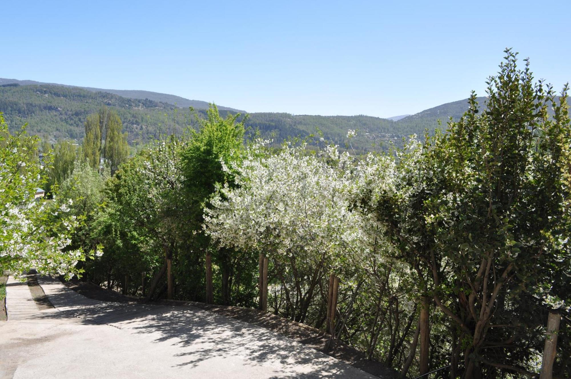 Melodia Natural En San Martín de los Andes Екстериор снимка